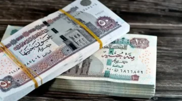 صرف المرتبات.. صرف مرتبات نوفمبر 2025 ينطلق رسمياً للموظفين في الهيئات والمصالح الحكومية اعتباراً من 24 من الشهر.